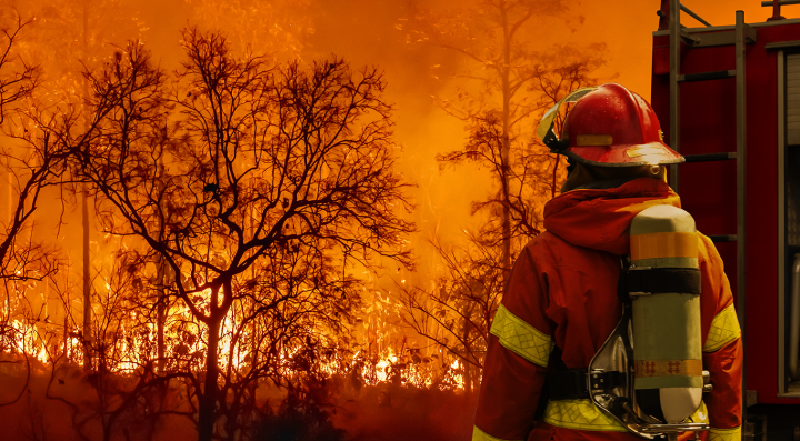 IFSC Webinar Series on Wildlife Fires