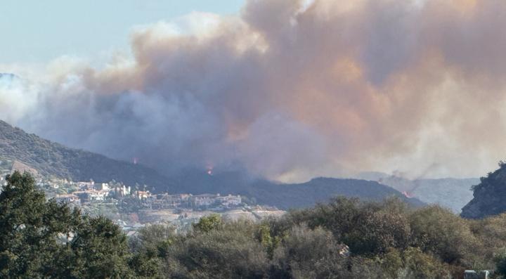 A wind-driven plume of smoke from fire spreading from wildland into the built environment during the Southern California fires in January 2025