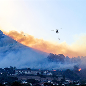 Wildland urban interface (WUI) fires are complex fires that require both wildland and structural firefighting resources