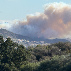 A wind-driven plume of smoke from fire spreading from wildland into the built environment during the Southern California fires in January 2025